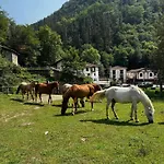 De Lastur Hostel *